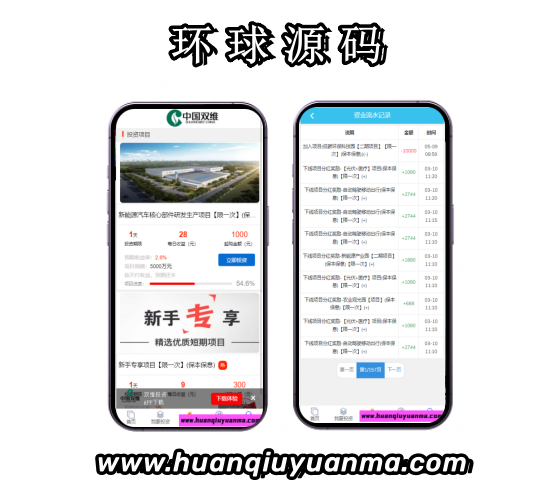 双维影视项目投资理财系统-环球源码